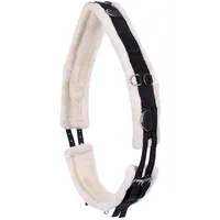 QHP Ontario schwarz Pony