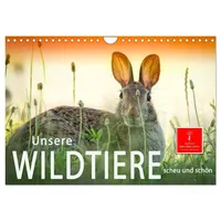 Calvendo Unsere Wildtiere - scheu und schön (Wandkalender 2026
