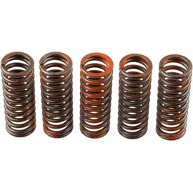 TRW Kupplungsfedernsatz MEF321-5