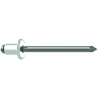 GESIPA Blindniettechnik GmbH Blindniete Alu/Nirosta 4,8 x 16 500 Stück