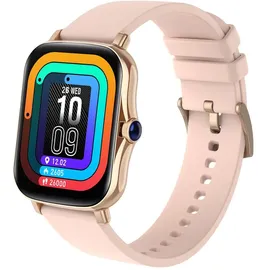 Fontastic FontaFit 480CH rosegold