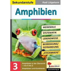 Amphibien - Merkmale, Lebensraum, Systematik