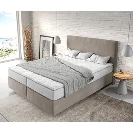 DeLife Dream-Well 160 x 200 cm H2/H3 Mikrofaser beige