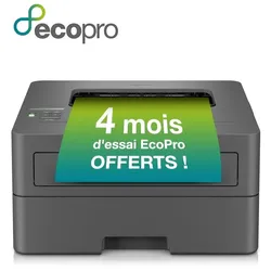Brother HL-L2400DWE - Drucker - s/w - Duplex
