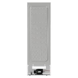 Gorenje FN619EEW5