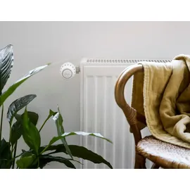 Danfoss React RA Click Heizkörperthermostat flüssigkeitgefüllt mit Nullabsperrung