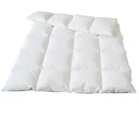 Traumina Plume Bio Daune WK 4 (Größe: 155x220 cm
