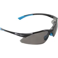 BGS Schutzbrille grau getönt
