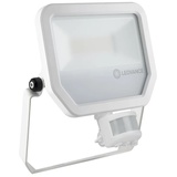 Ledvance LED-Außenstrahler "FLOODLIGHT PFM SEN" 50W 830 IP65 Weiß m. Bewegungsmelder