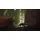 Stray (USK) (Nintendo Switch)