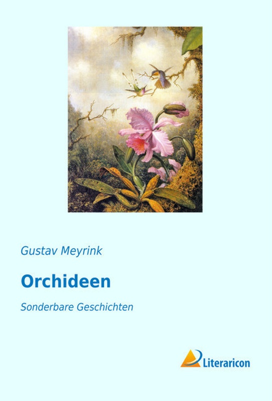 Orchideen - Gustav Meyrink, Kartoniert (TB)