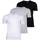 Lacoste Essentials grau/schwarz/weiß M