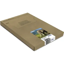 Epson 24XL Multipack color