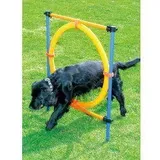 Pawise Agility Ring 55 cm