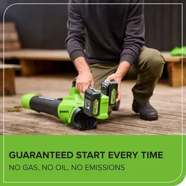 Greenworks Akku-Laubbläser 48V (2x24V) inkl. 2 x 2,0 Ah + Ladegerät