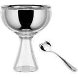 Alessi Big Love AMMI01S I - Set Bestehend aus Einem Eisbecher und ein Eislöffel, aus Edelstahl 18/10 und Thermoplastischem Harz Glänzend Poliert, Eisgrau