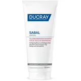 Pierre Fabre Ducray Sabal Argeal Talgabsorbierendes Shampoo