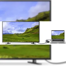 Renkforce RF-4633066 USB-C® / HDMI / DVI / VGA Adapter [1x USB-C® Stecker - 1x VGA-Buchse, HDMI-Buchse, DVI-Buchse 24+5pol.] Schwarz