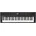 Roland GO KEYS 5 GT