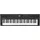 Roland GO:KEYS 5 GT