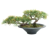 Europalms Bonsai-Zeder, Kunstpflanze, 40cm