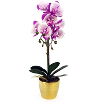 Leaf Design UK Realistische künstliche Orchideen-Blumen-Display im Topf