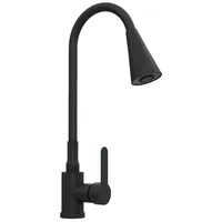 QLS Flex 3000 Küchenarmatur Schwarz