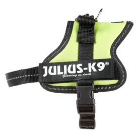 Julius-K9 K9 Powergeschirr, Größe: M/0, Kiwi