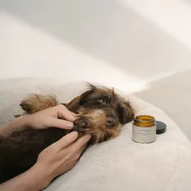 Lila loves it Pfötchenpflege 60 ml Lila