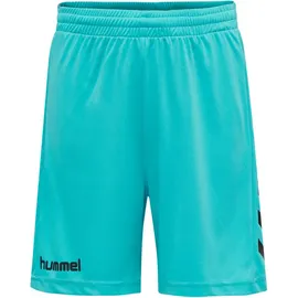 hummel Core Torwart Set Torwarttrikot+Torwartshorts Kinder scuba blue 128
