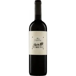 Mas Enguera Tinto Finca Enguera 2021 - 6Fl. á 0.75l BIO