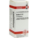 DHU-Arzneimittel AMBRA D12