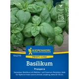 Kiepenkerl Saatgut, Basilikum Prospera,