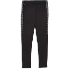 Puma Herren Sporthose, teamLIGA26 Training Pants+ 3XL
