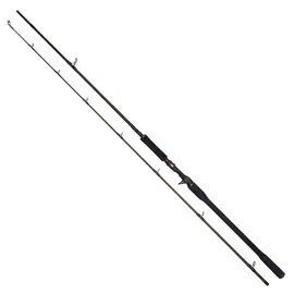 Westin W4 Powercast-T 2nd 2,55m XXH 40-130g Baitcast Rute