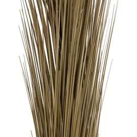 Europalms Schilfgras, khaki, 127cm