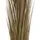 Europalms Schilfgras, khaki, 127cm