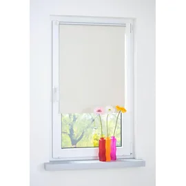LIEDECO Rollo Klemmfix Thermobeschichtet 100 x 150 cm Creme/weiß