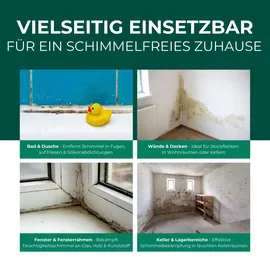 Silberkraft Schimmelentferner Spray 500 ml