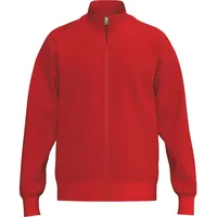 Erima Herren Sweatjacke TS Sweatjacket 2072614 L