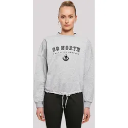Sweatshirt F4NT4STIC "Go North Knut & Jan Hamburg", Damen, Gr. XS, grau (erdgrau), Obermaterial: 65% Baumwolle, 35% Polyester, casual, oversize, Rundhals, Langarm ohne Bündchen, Sweatshirts, Print