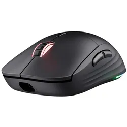 Trust Redex+ Leistungsstarke und kabellose Gaming-Maus - Schwarz