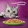 Whiskas Mega Pack 1+ Gemischte Auswahl in Gelee 40 x 85g