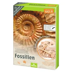 Moses Expedition Natur - Das große Fossilien-Ausgrabungs-Set