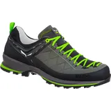 Salewa Herren MTN Trainer 2 L Schuhe (Größe 42, gruen)