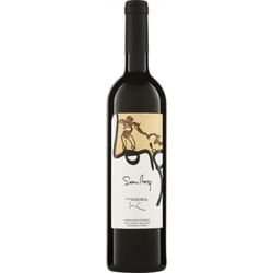 Cabernet SON ROIG Can Majoral 2019 BIO