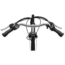 Teutoburg Senne 28 Zoll RH 45 cm Damen schwarz