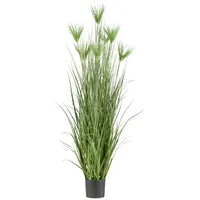 Creativ green Kunstgras »Zyperngras«, mit sieben Zyperngrasblüten grün