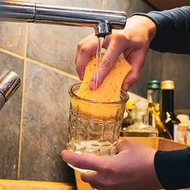 pandoo Spülschwämme, 2 St.