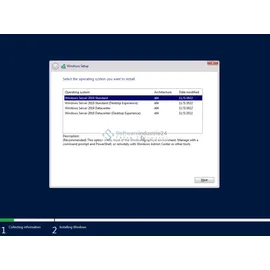 Microsoft Windows Server 2019 64-Bit CAL DE